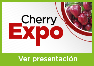 Cherry Expo