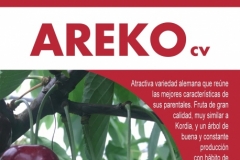 Areko_pag1