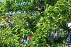 WhatsApp-Image-2025-10-14-at-11.46.51