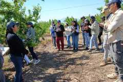 WhatsApp-Image-2025-10-14-at-11.47.33