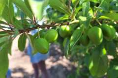 WhatsApp-Image-2025-10-16-at-8.59.05-AM