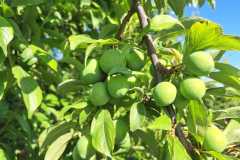 WhatsApp-Image-2025-10-16-at-8.59.24-AM