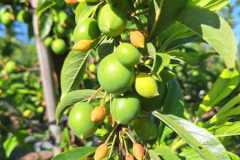 WhatsApp-Image-2025-10-16-at-8.59.29-AM