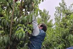 WhatsApp-Image-2025-11-28-at-1.01.04-PM-2