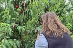 WhatsApp-Image-2025-11-28-at-1.01.04-PM