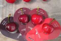 Nimba-2