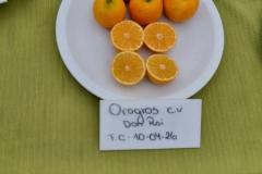 IMG-14