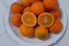 WhatsApp-Image-2025-06-13-at-16.54.05