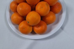 WhatsApp-Image-2025-06-13-at-16.54.06-1