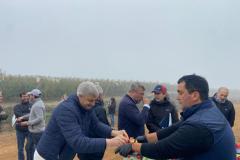 IMG-11