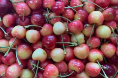 20241204-Foto-Muestra-Fruta-Packing-Procesada-20.11.24-Foto-5