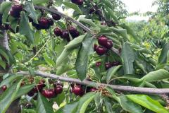 WhatsApp-Image-2025-10-27-at-2.19.54-PM