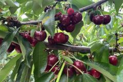 WhatsApp-Image-2025-10-27-at-2.20.49-PM