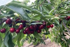 WhatsApp-Image-2025-10-27-at-2.22.31-PM