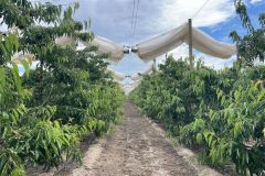 WhatsApp-Image-2025-10-27-at-2.25.14-PM