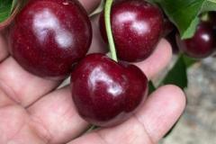 WhatsApp-Image-2025-10-27-at-2.26.22-PM