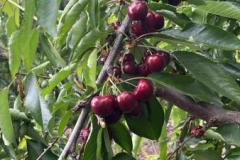 WhatsApp-Image-2025-10-27-at-2.33.30-PM