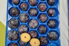 238f93d4-2155-4641-8833-d53882f97fdc