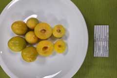 32c68eb1-487c-4d5d-b79b-23963b5091af