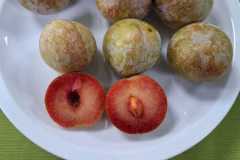 6c910b52-45ad-47f3-88e8-132ab34972a1