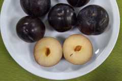 792fadc9-646f-43cb-a9ae-026aef54539d