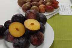 WhatsApp-Image-2026-02-04-at-16.52.41