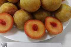 WhatsApp-Image-2026-02-04-at-17.11.49