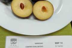 WhatsApp-Image-2026-02-04-at-17.25.58