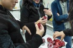 IMG-12