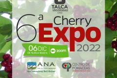 cherry-expo