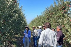 26_01_23_Dia-de-Campo_El_LLano