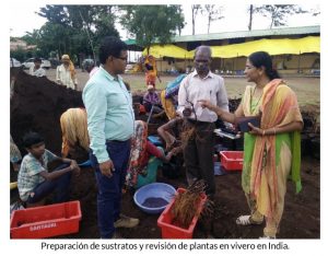 preparacion-de-sustratos-y-revision-de-plantas-en-vivero-en-india