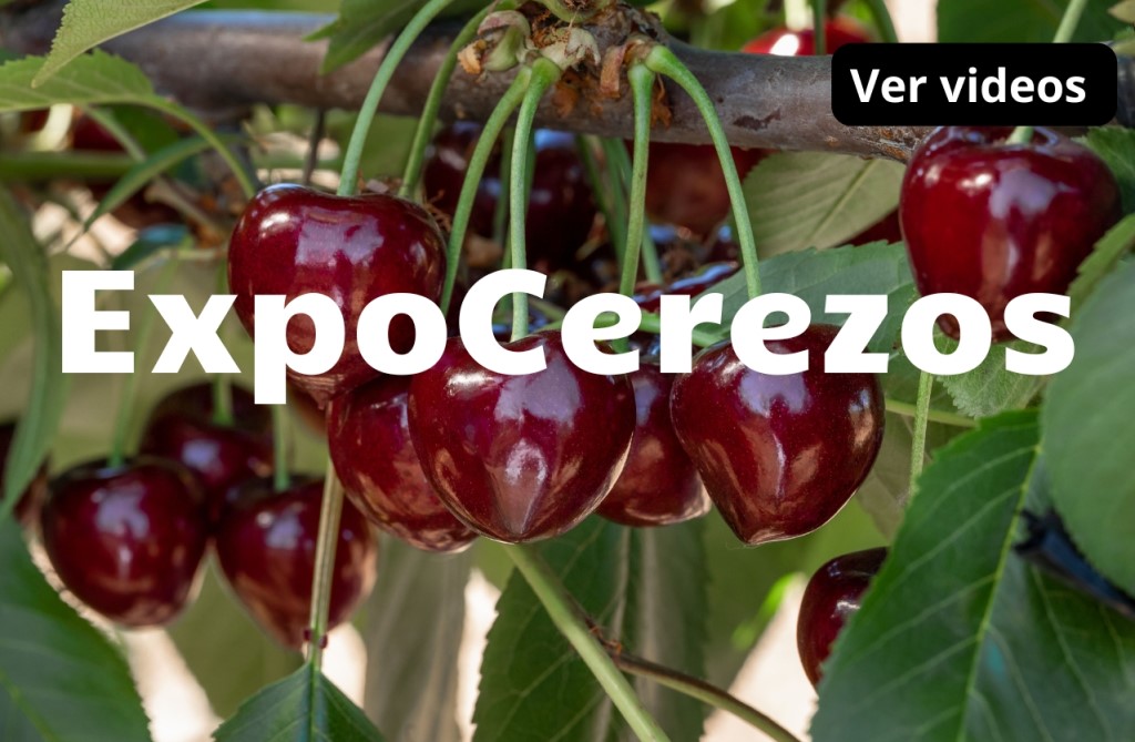 Expo Carozos y Cerezos